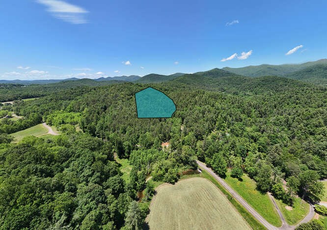 Tract 4 Fain Branch Road Property Photo 8