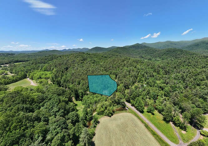 Tract 4 Fain Branch Road Property Photo 14