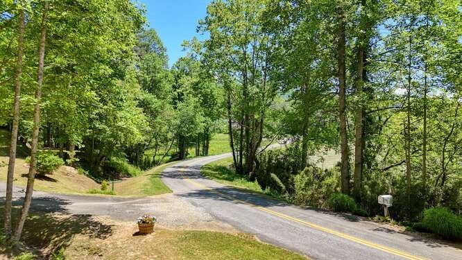 Tract 4 Fain Branch Road Property Photo 15