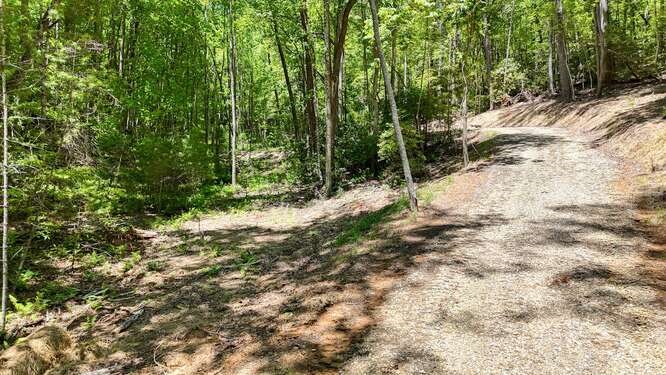 Tract 4 Fain Branch Road Property Photo 21