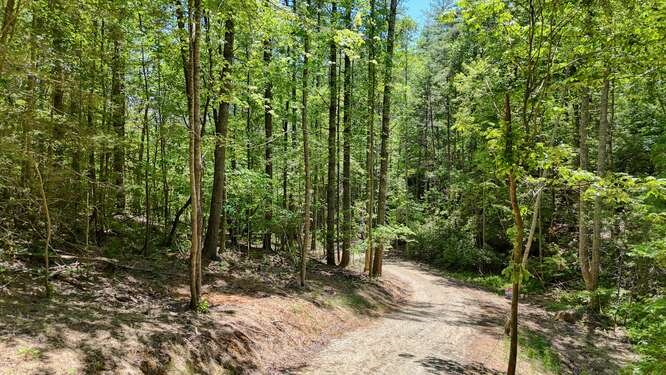 Tract 4 Fain Branch Road Property Photo 23