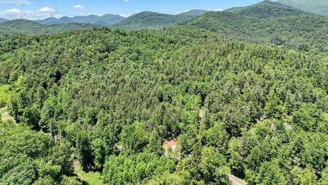 Tract 4 Fain Branch Road Property Photo 29