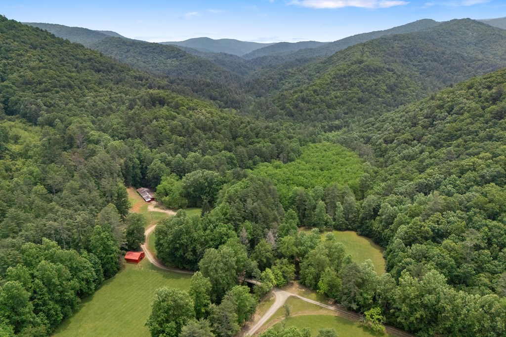 7320 Chestnut Valley Road Property Photo 3