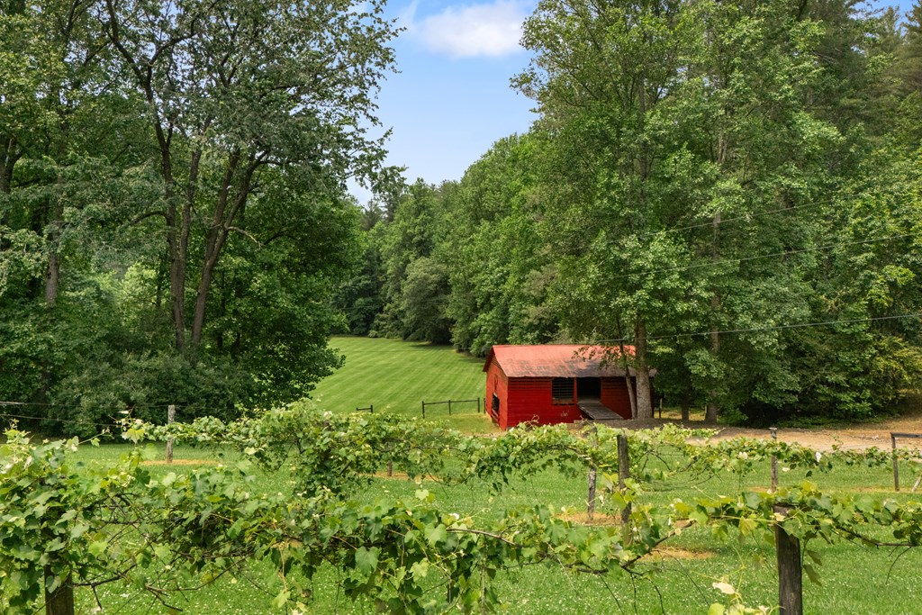 7320 Chestnut Valley Road Property Photo 13