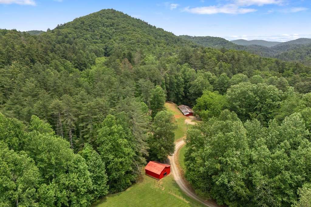 7320 Chestnut Valley Road Property Photo 16