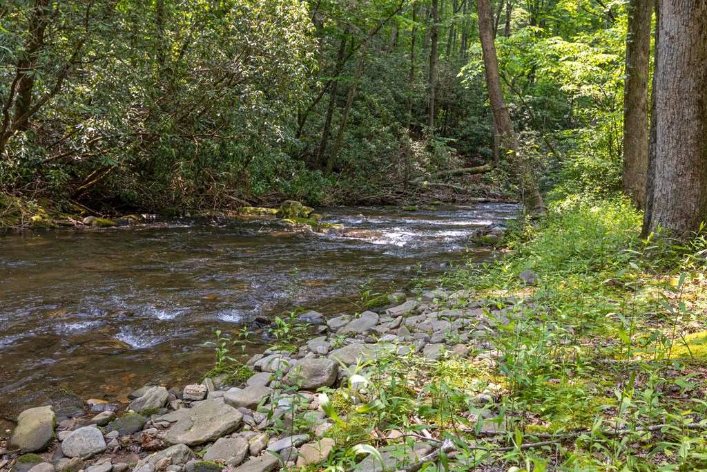 7320 Chestnut Valley Road Property Photo 49
