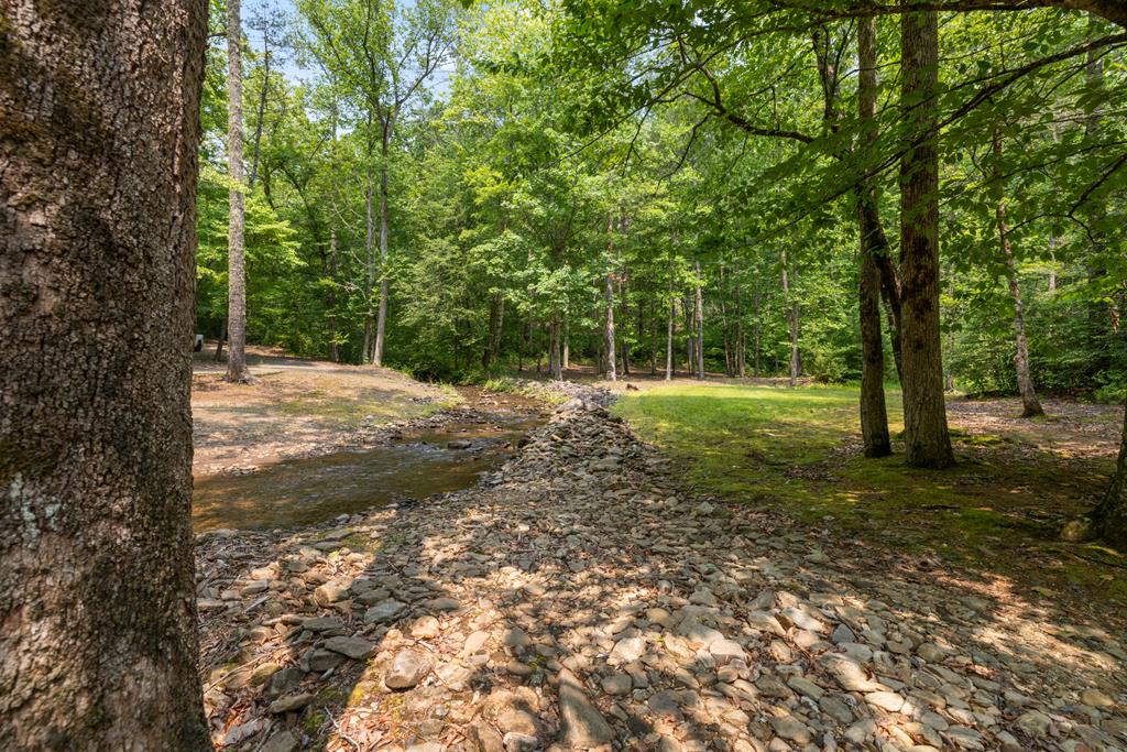 7320 Chestnut Valley Road Property Photo 65