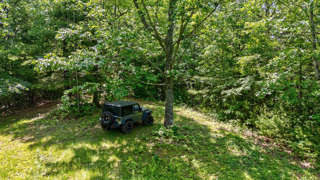 7320 Chestnut Valley Road Property Photo 74