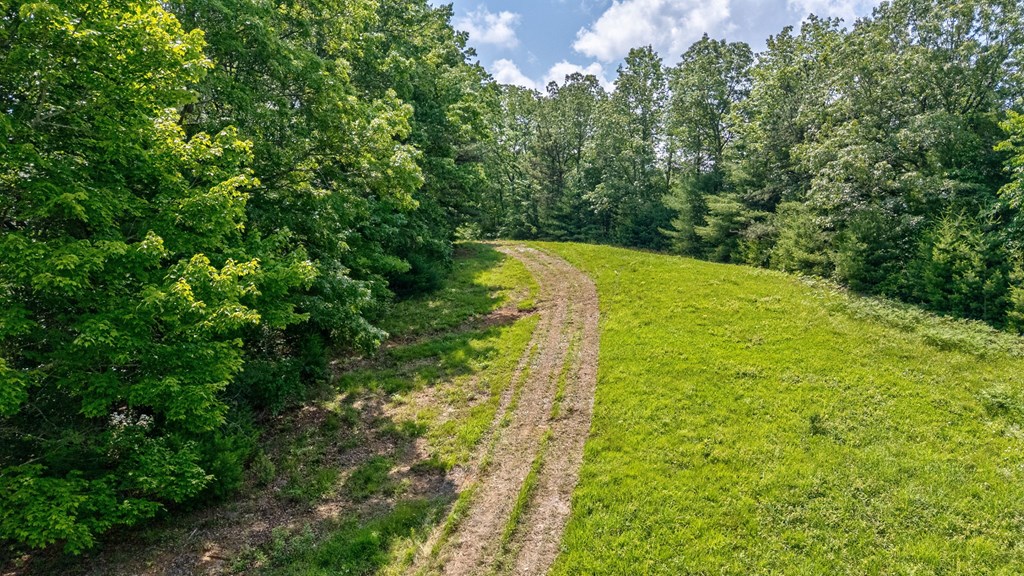 7320 Chestnut Valley Road Property Photo 75