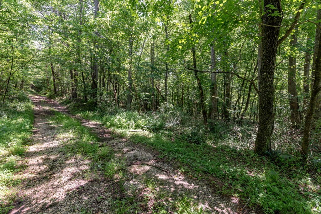 26.18 Ac Green Road Property Photo 5