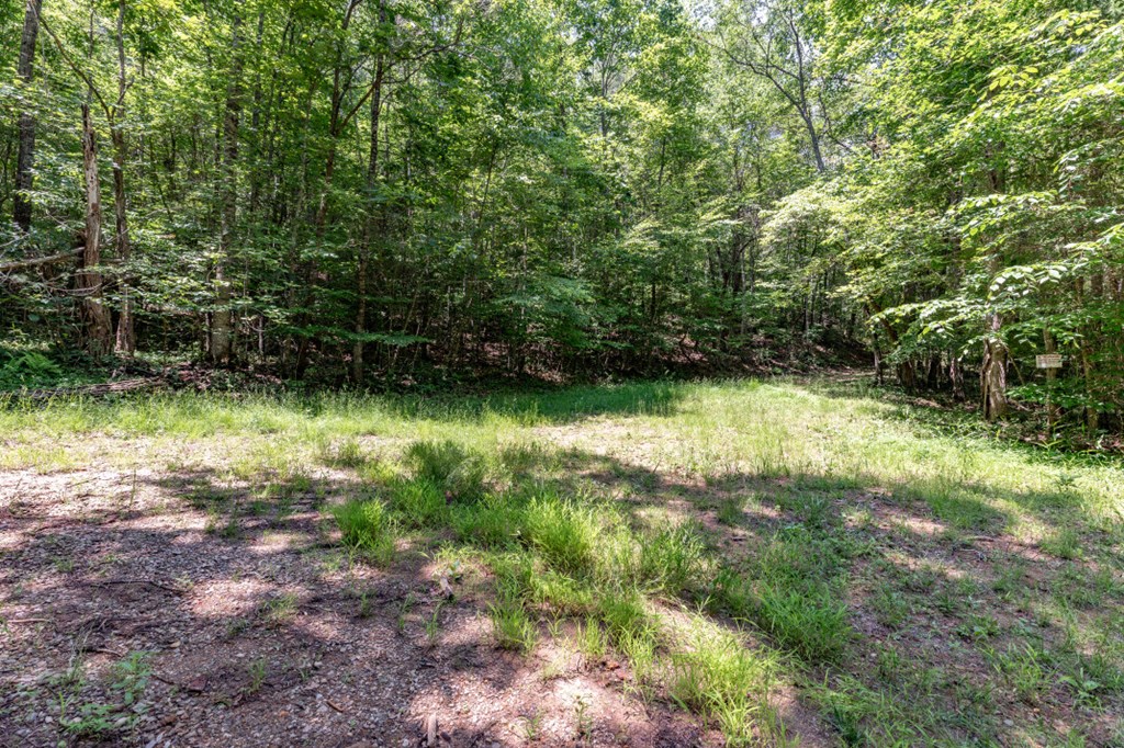 26.18 Ac Green Road Property Photo 6