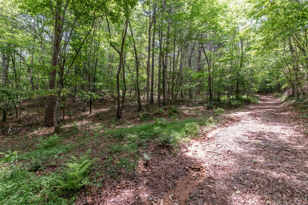 26.18 Ac Green Road Property Photo 7