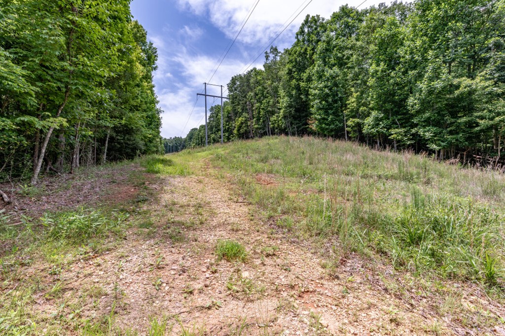 26.18 Ac Green Road Property Photo 10