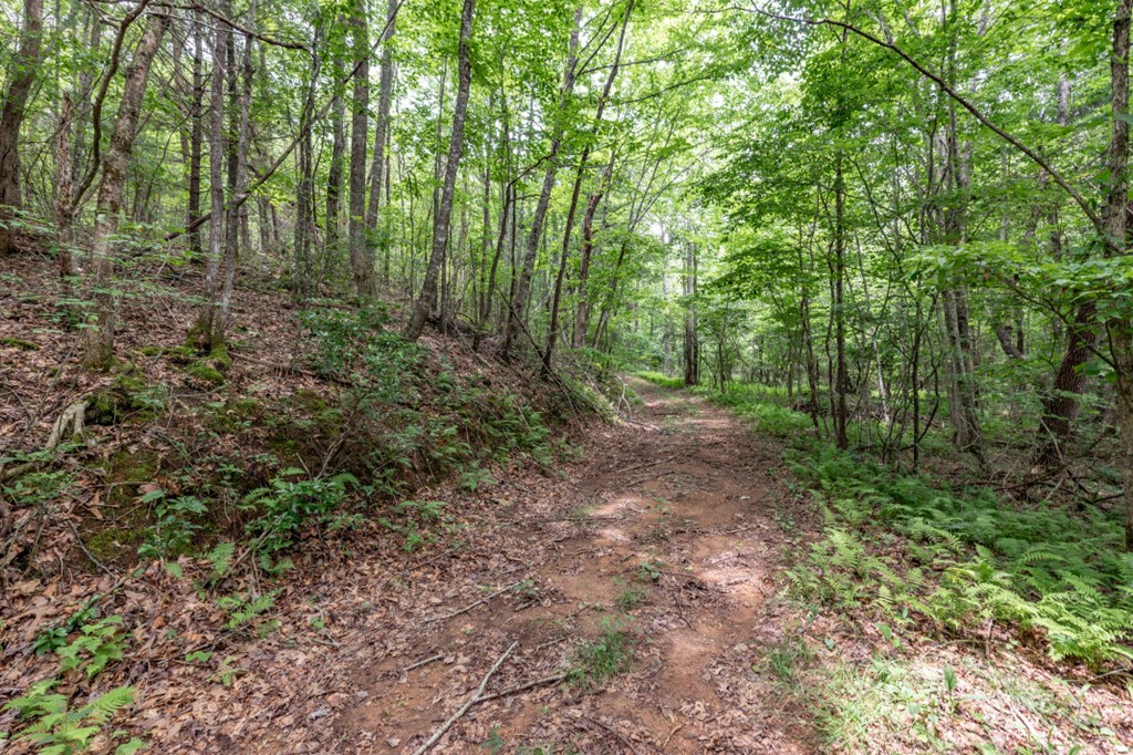 26.18 Ac Green Road Property Photo 19