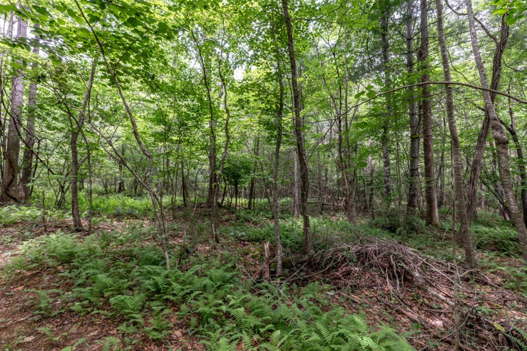 26.18 Ac Green Road Property Photo 20