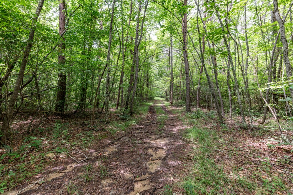 26.18 Ac Green Road Property Photo 26