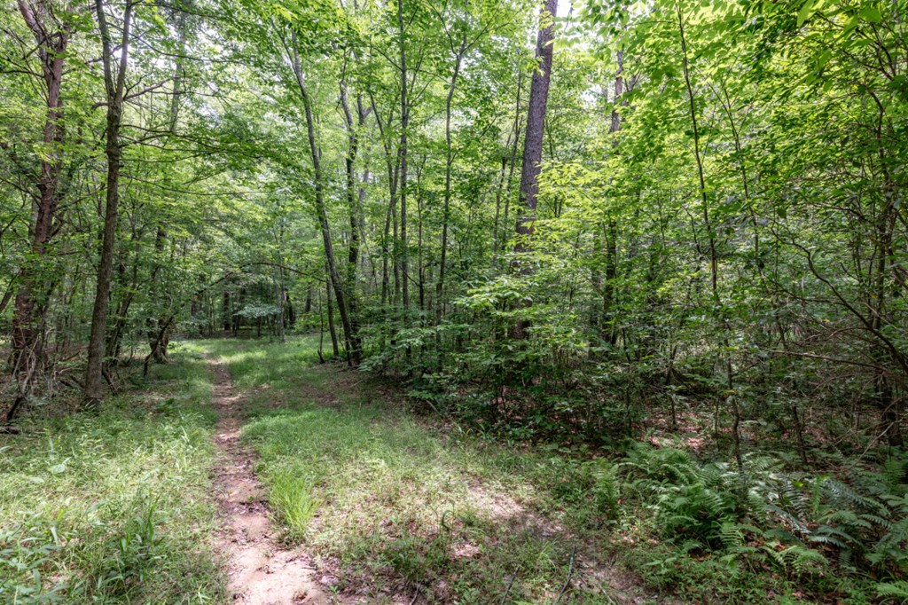 26.18 Ac Green Road Property Photo 27