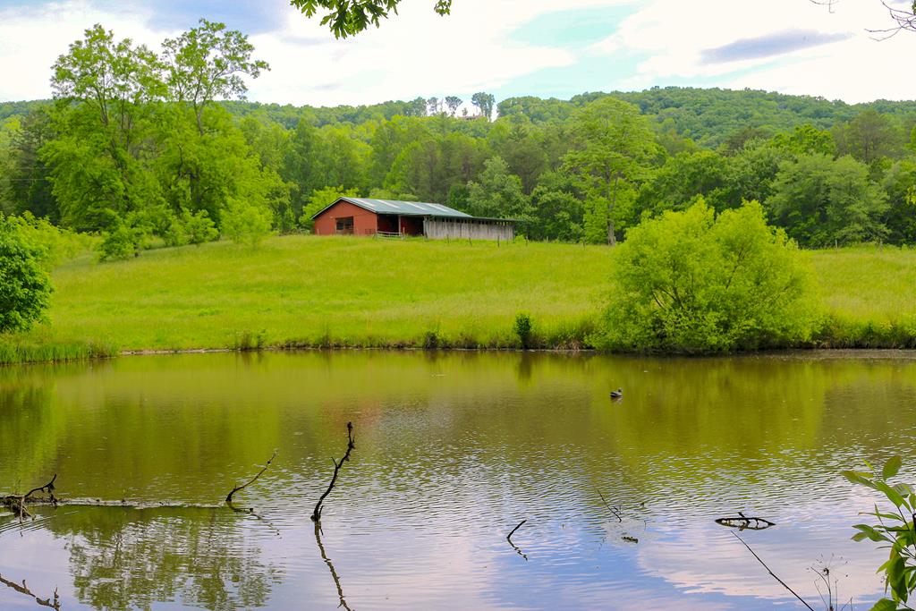 440 Hamby Road Property Photo 1