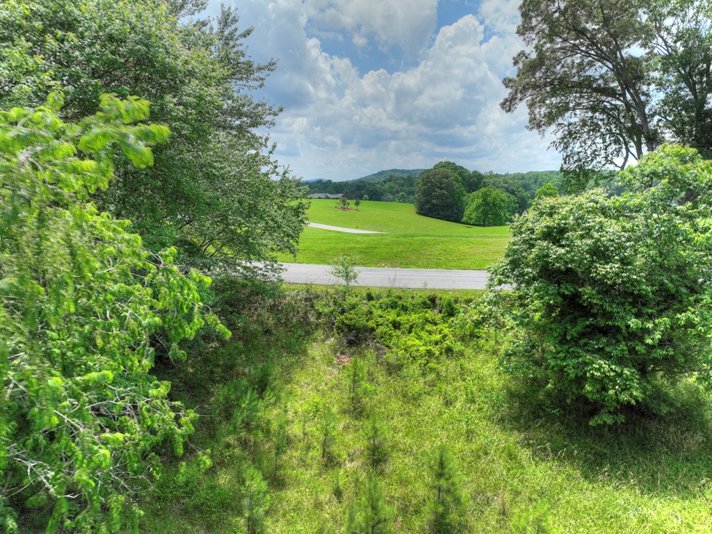 Lot 140 Fox Lake Property Photo 3