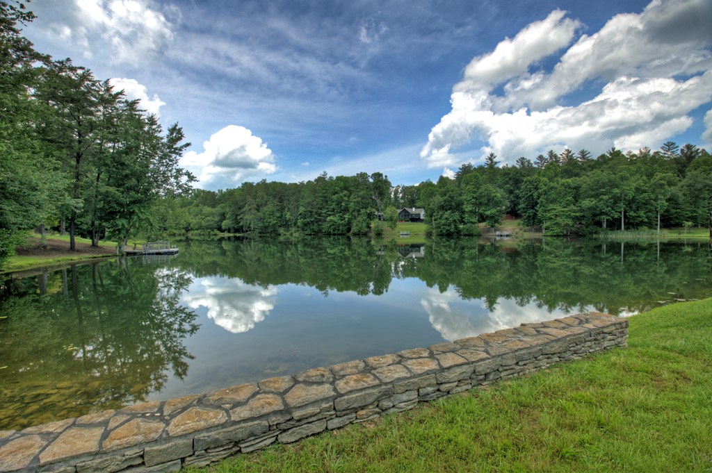 Lot 140 Fox Lake Property Photo 10