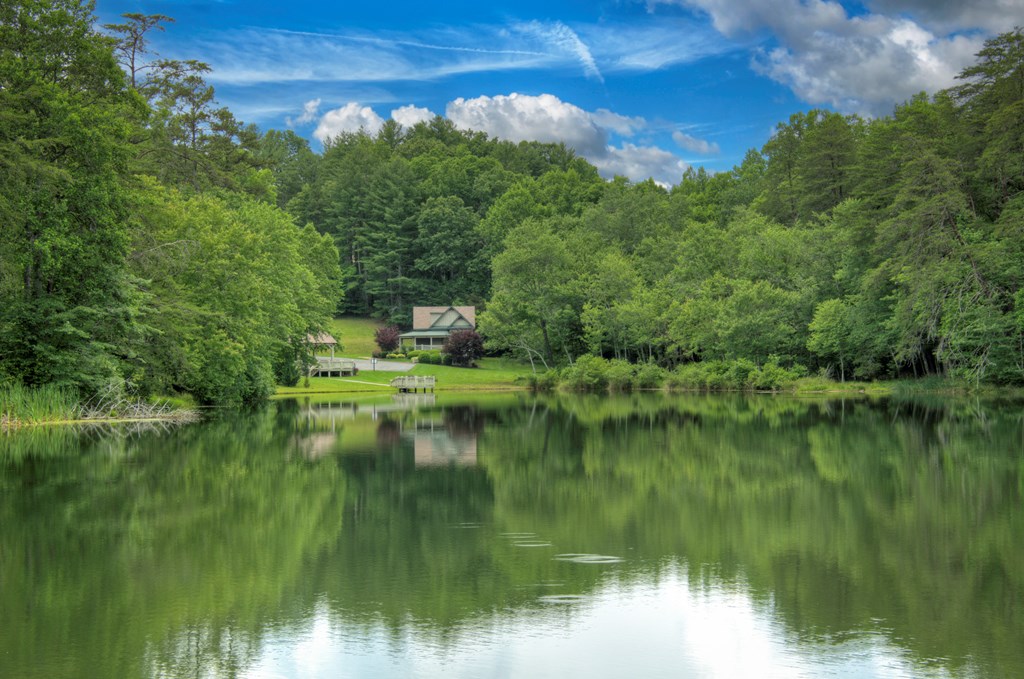 Lot 140 Fox Lake Property Photo 11