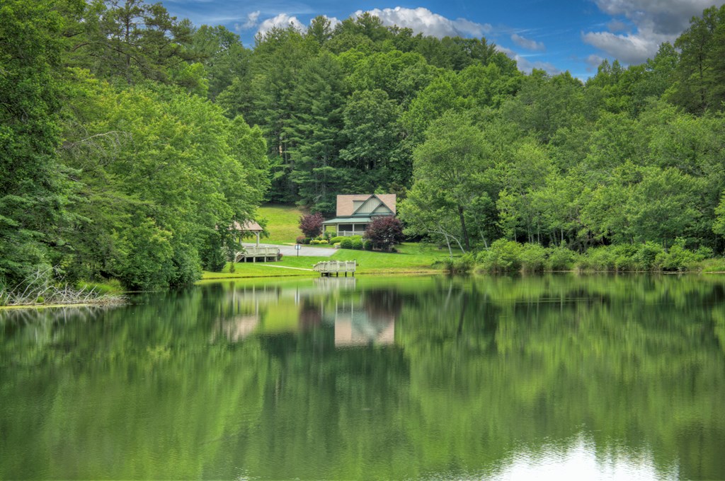 Lot 140 Fox Lake Property Photo 12
