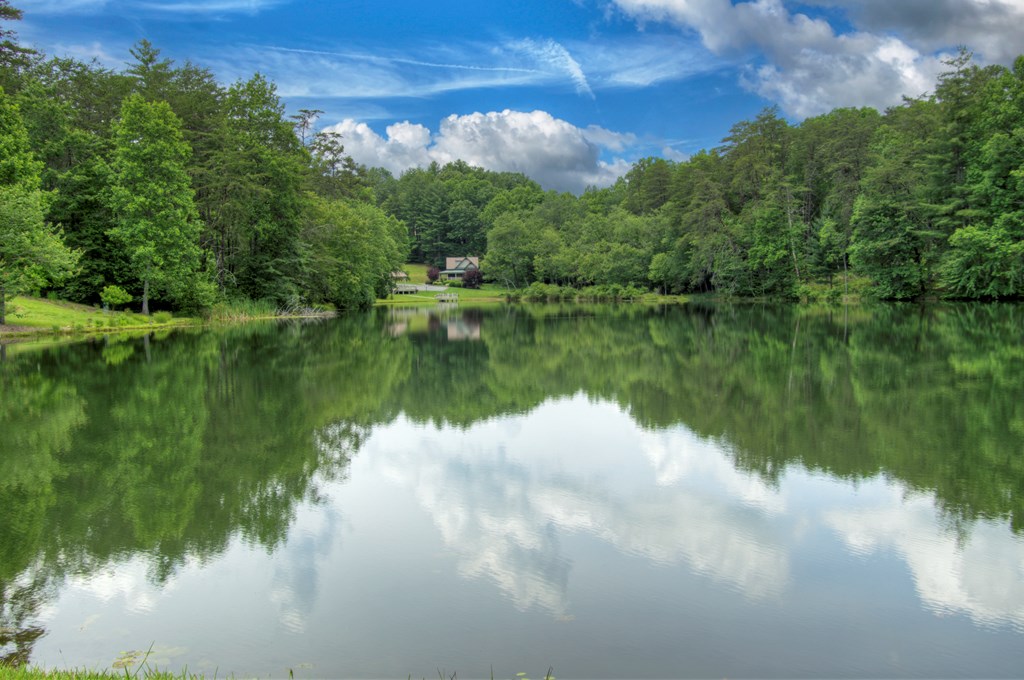 Lot 140 Fox Lake Property Photo 13