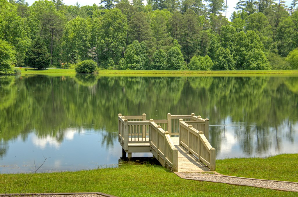 Lot 140 Fox Lake Property Photo 15