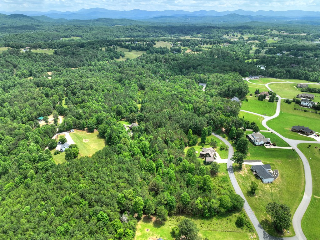 Lot 140 Fox Lake Property Photo 23