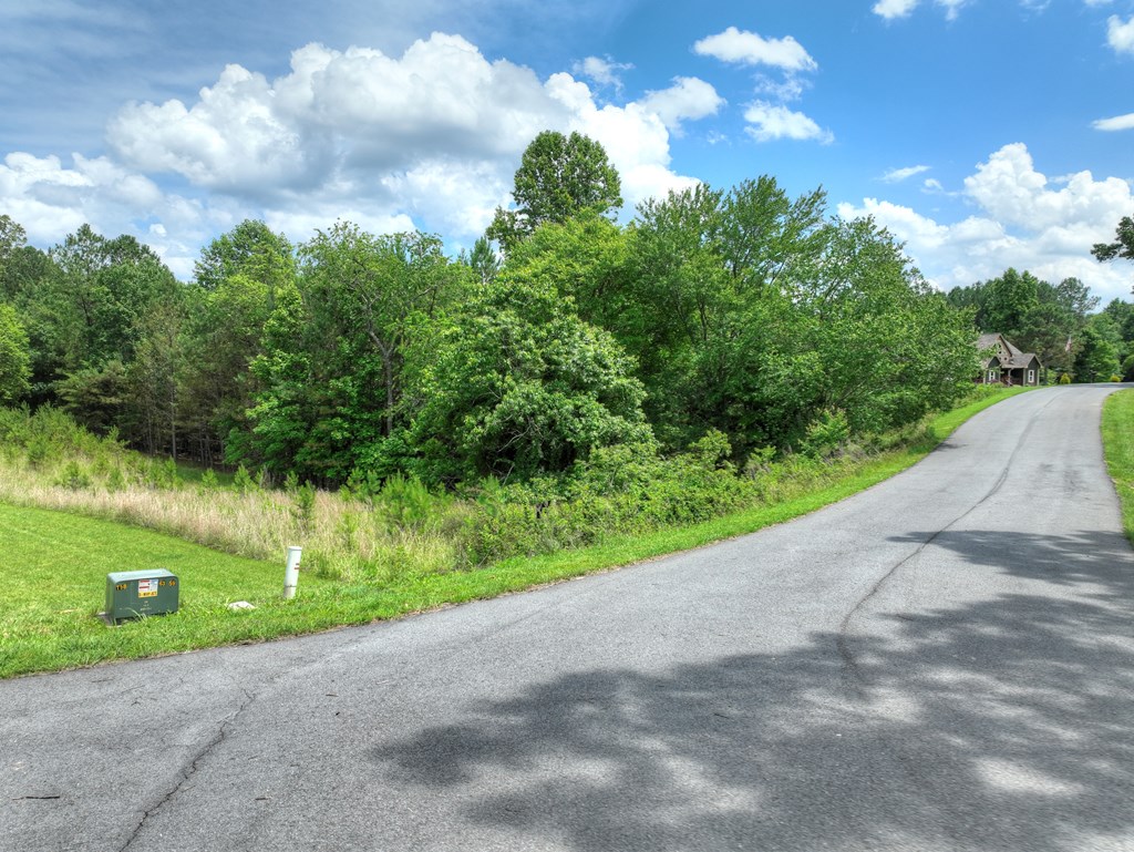 Lot 140 Fox Lake Property Photo 25