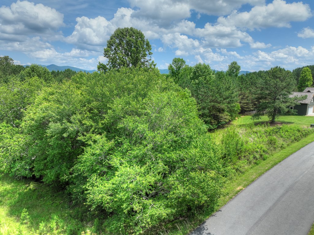 Lot 140 Fox Lake Property Photo 30