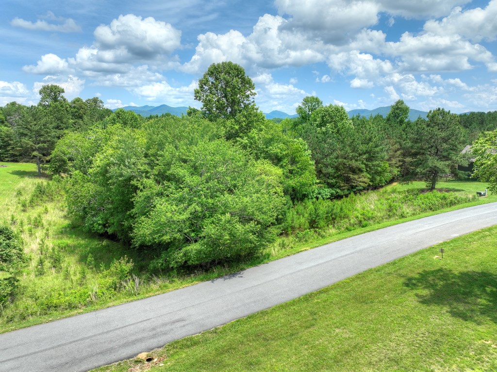 Lot 140 Fox Lake Property Photo 31