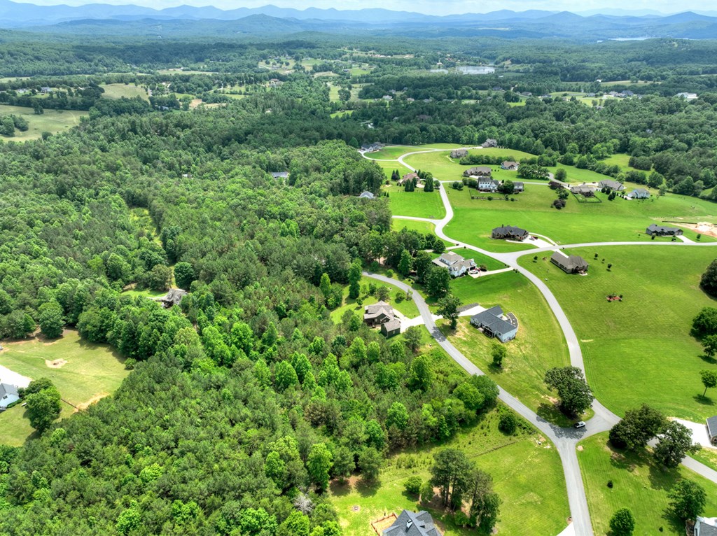 Lot 140 Fox Lake Property Photo 37