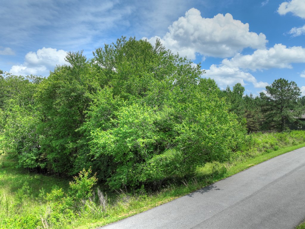 Lot 140 Fox Lake Property Photo 42