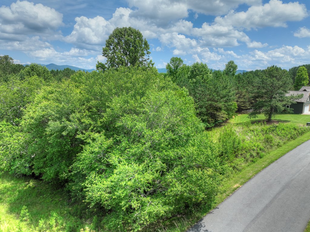 Lot 140 Fox Lake Property Photo 43