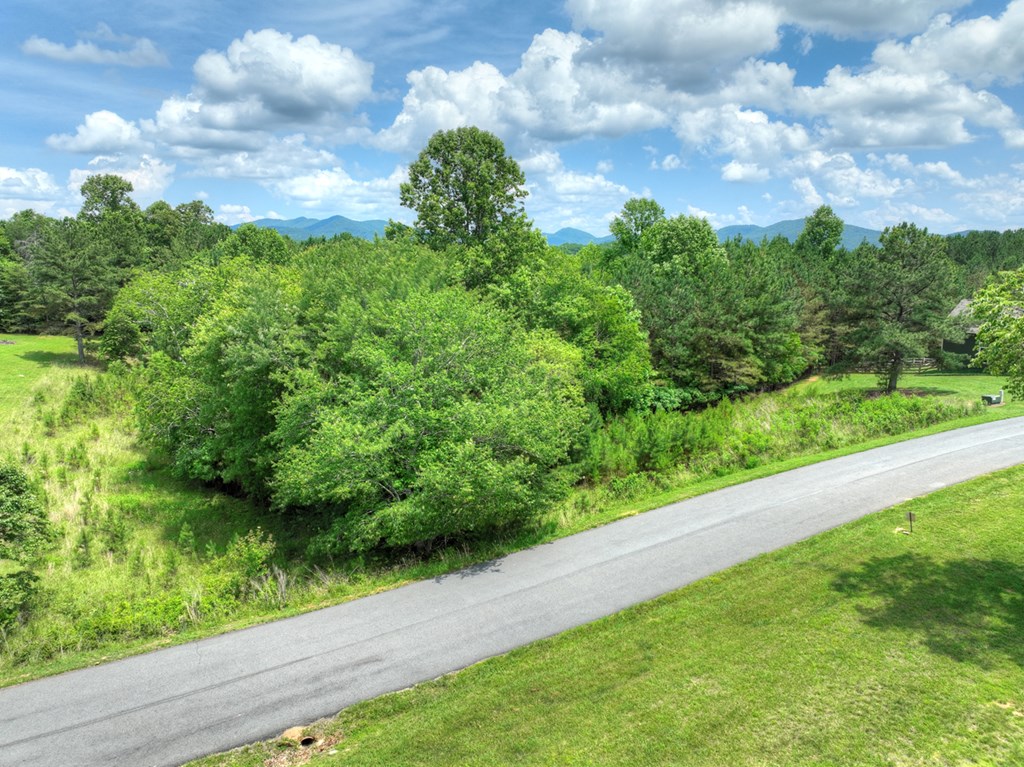 Lot 140 Fox Lake Property Photo 44