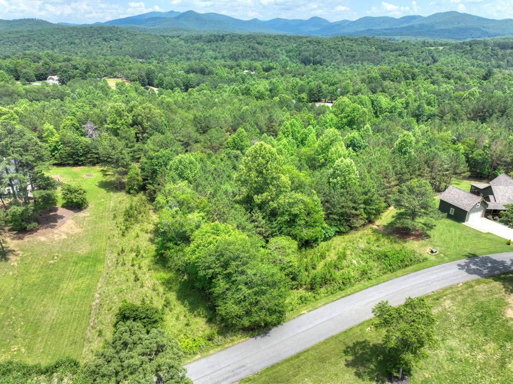 Lot 140 Fox Lake Property Photo 45