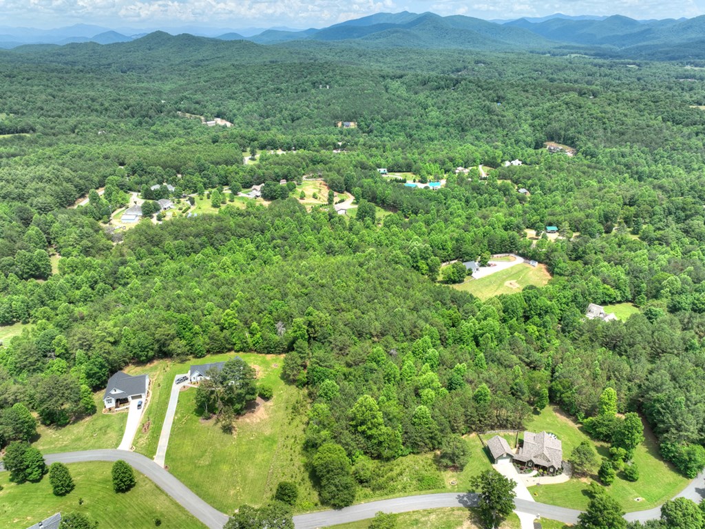 Lot 140 Fox Lake Property Photo 47