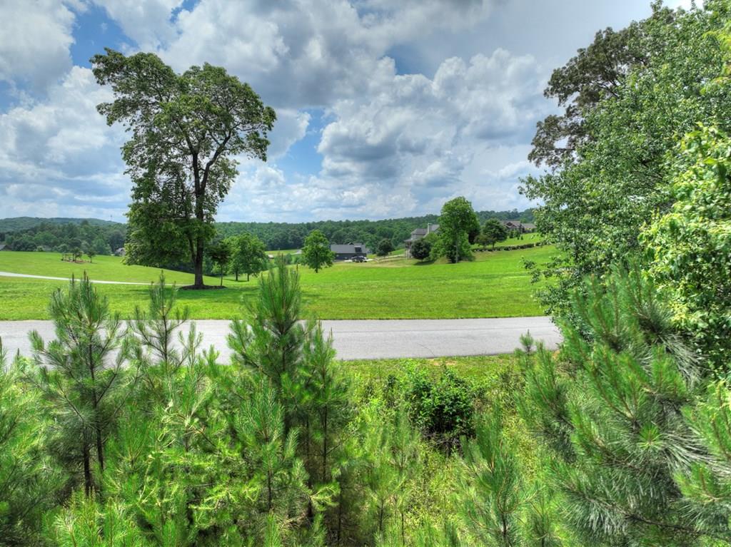 LOT 141 Fox Lake Property Photo 1