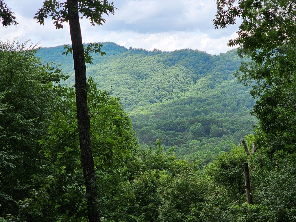 Lot 13-B Mountain Top Drive Property Photo 1