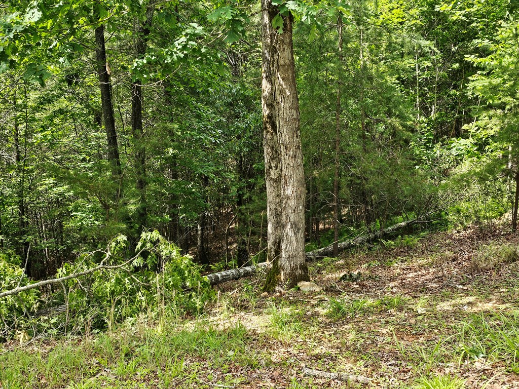 2.71 Ac Ridgeline Road Property Photo 3