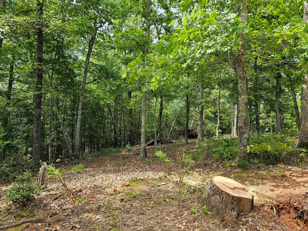 2.71 Ac Ridgeline Road Property Photo 4