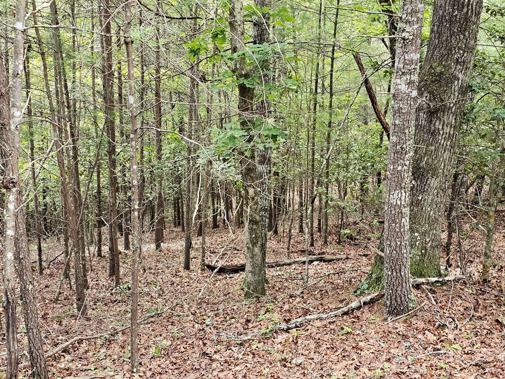2.71 Ac Ridgeline Road Property Photo 7