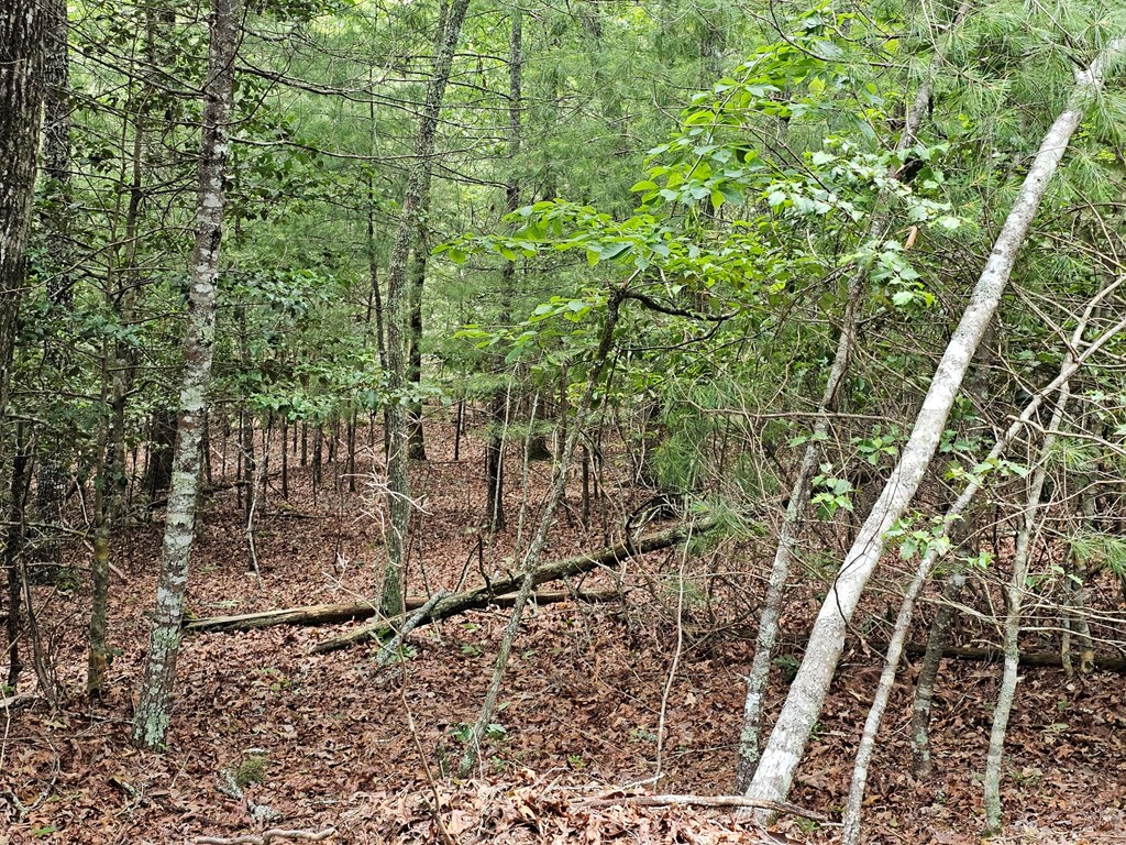 2.71 Ac Ridgeline Road Property Photo 8