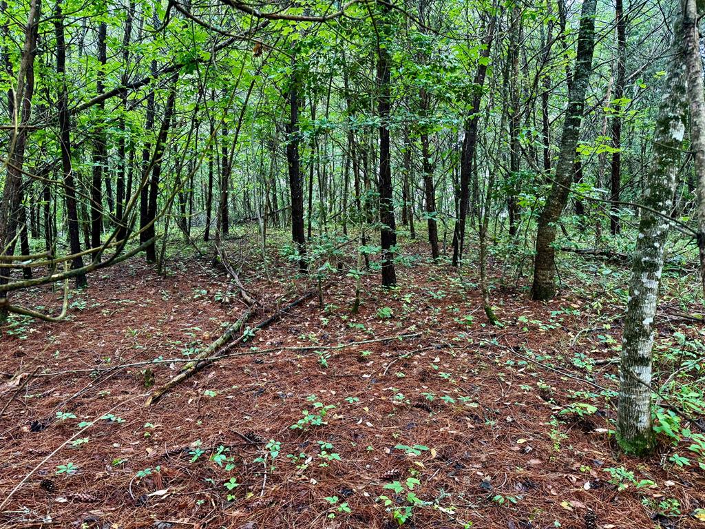 12 Brookhaven Property Photo 1
