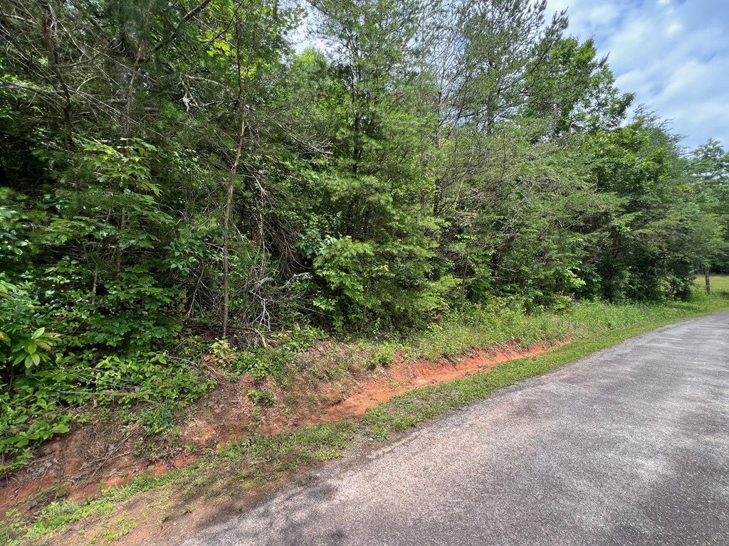 12 Brookhaven Property Photo 3