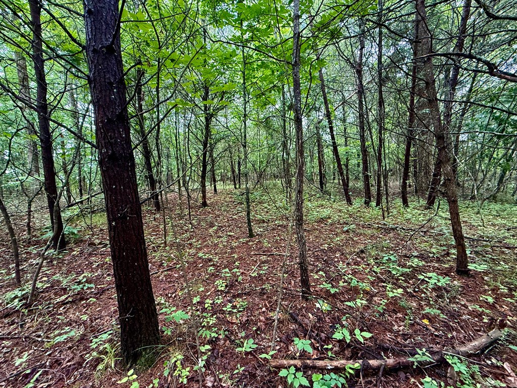 12 Brookhaven Property Photo 14