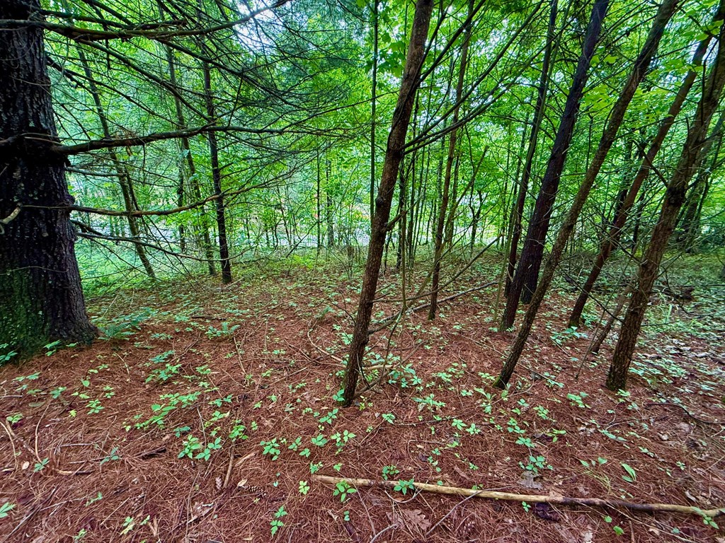 12 Brookhaven Property Photo 15