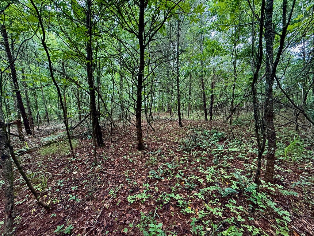 12 Brookhaven Property Photo 18