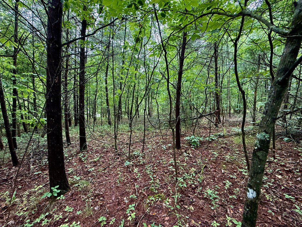 12 Brookhaven Property Photo 20